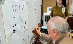 自断后路不到12小时，范曾忧虑的事成真了，遭殃的不止小50岁娇妻