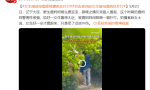 视频曝光！大连一女子在市区内遭母鹿疯狂扑打，知情人称疑因拍刚出生小鹿，当地：已贴告示提醒，择机将鹿迁移回山里