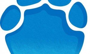 海南通报：区委书记沉迷网游，区长沉迷高尔夫，两人同日被查